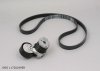 Original  TENDEUR DE COURROIE Renault 1.5DCI 10- COMPLET 6PK1197, 117202495R